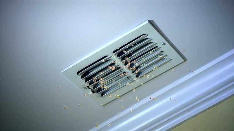Best Air Duct Cleaning Near Me  in Madison, IN